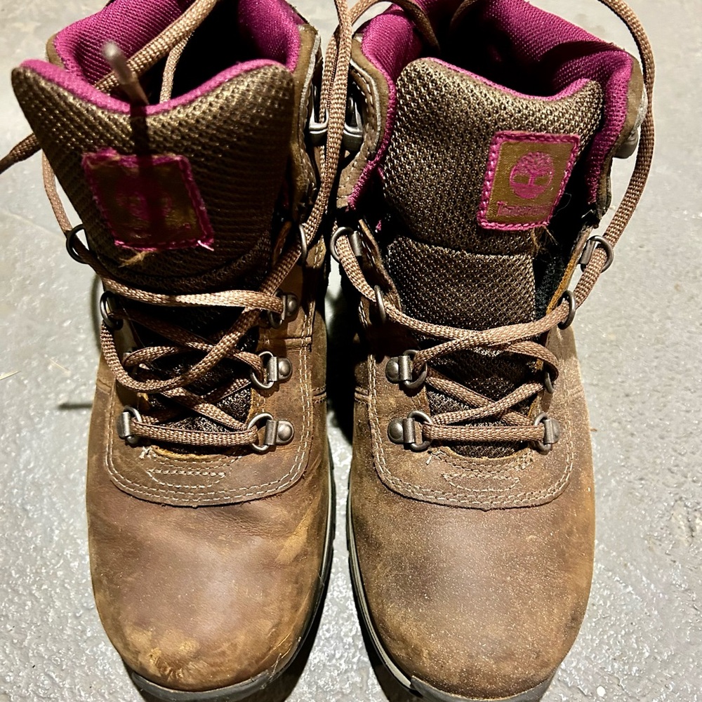 Brown and Purple Hiking Boots